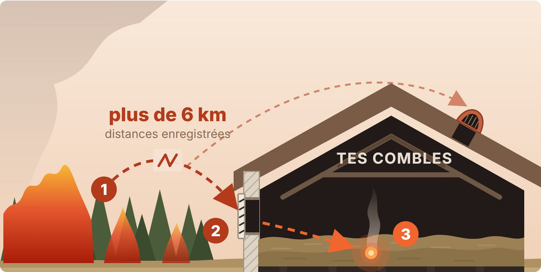 Une braise part du feu de forêt, entre par une grille, et tombe sur l'isolant des combles